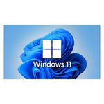 Microsoft Windows 11 Professional OEM DVD 64 bit English Activation Key Lifetime License