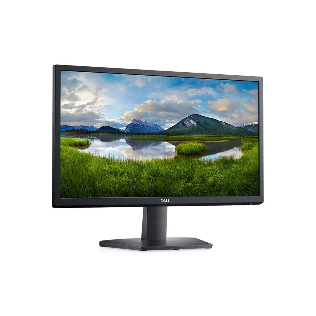 Dell SE2222H, 21.5 Inch FHD, 60 Hz Monitor