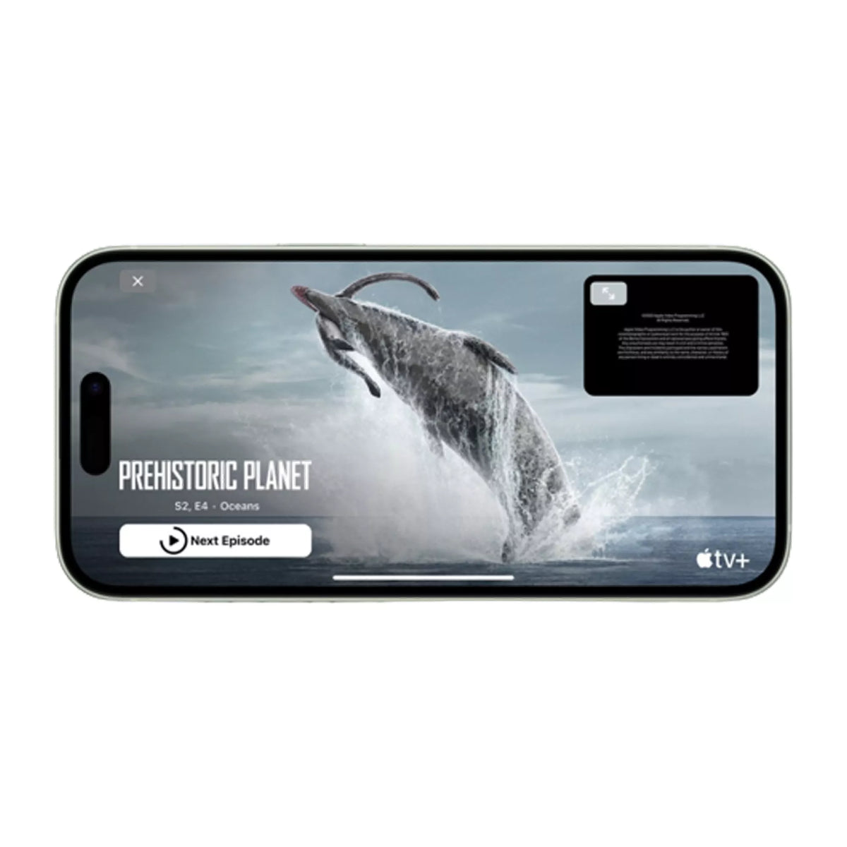 Apple iPhone 15 128GB Black, TRA Version