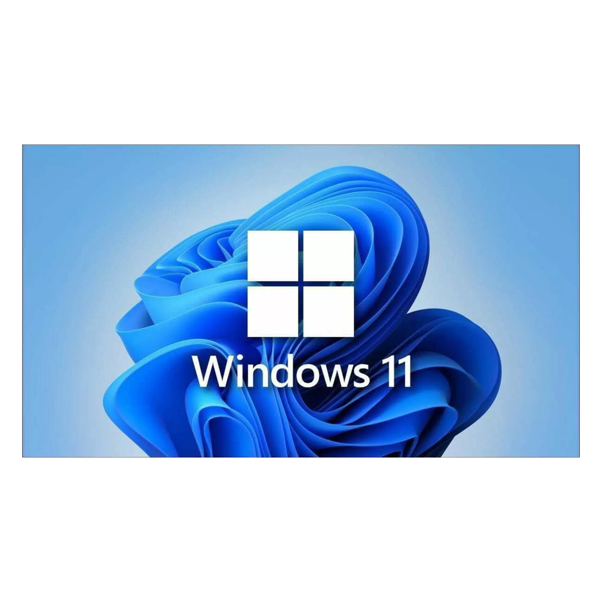 Microsoft Windows 11 Professional OEM DVD 64 bit English Activation Key Lifetime License