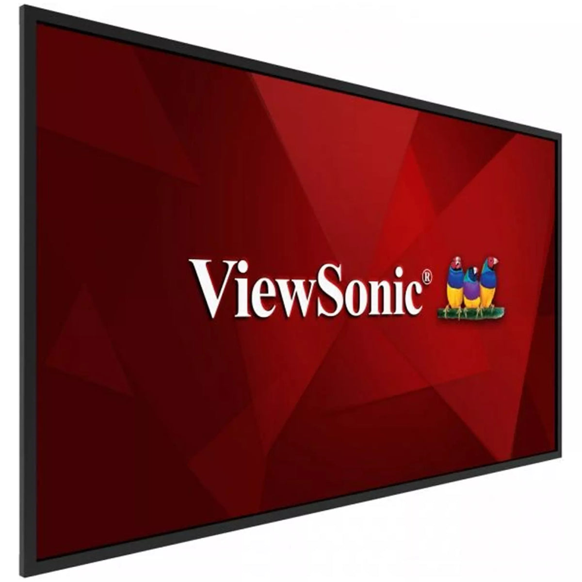 Viewsonic CDE5520 55 Inch UHD Display