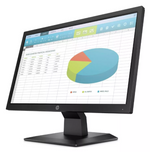 HP P204 19.5Inch HD Plus Flat Monitor, Black