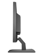 HP P204 19.5Inch HD Plus Flat Monitor, Black