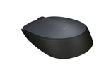 Logitech Wireless Mouse M170